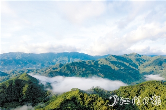 七星坑保護(hù)區(qū)成為越來越多野生動(dòng)物美麗的家園。