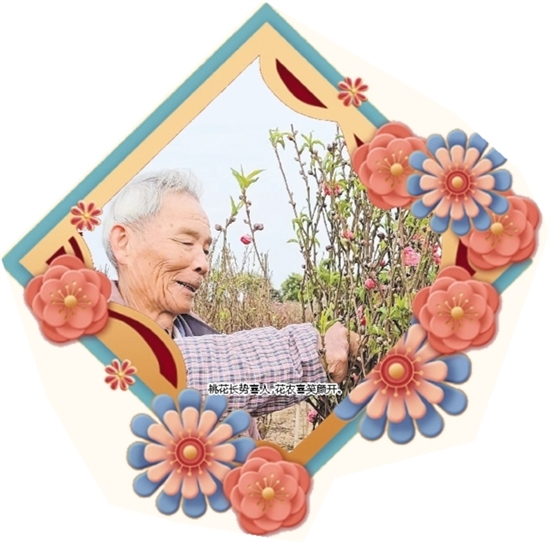 桃花長(zhǎng)勢(shì)喜人，花農(nóng)喜笑顏開(kāi)。