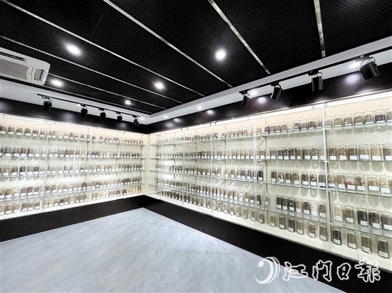 中藥篇展廳中央展區(qū)擺放著近100種藥材。