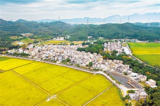 赤溪鎮(zhèn)護嶺村是客家人聚居村,先后入選廣東省首批“百千萬工程”典型村、廣東省鄉(xiāng)村振興示范村創(chuàng)建名單。