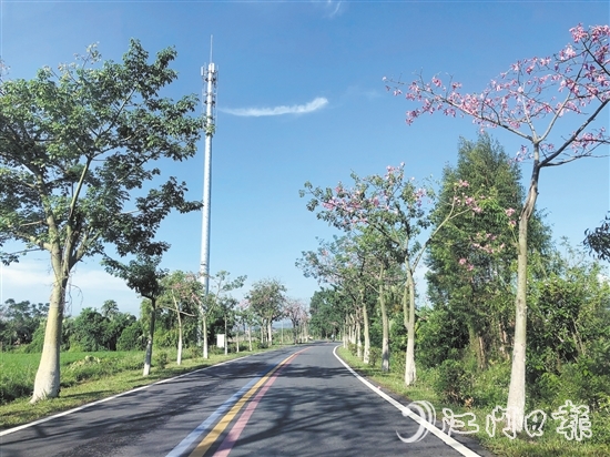 開平入選第四批“四好農(nóng)村路”全國示范縣。