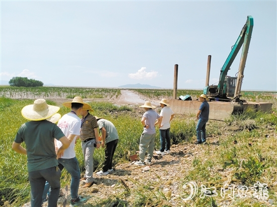 人大代表到紅樹林保護(hù)區(qū)進(jìn)行實(shí)地調(diào)研。