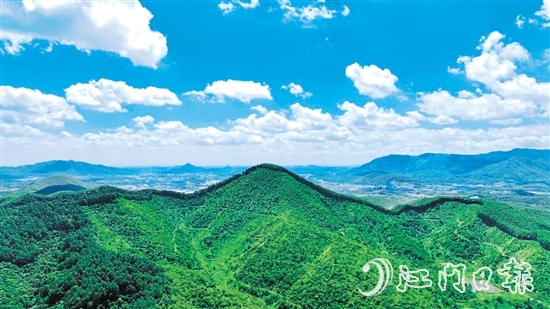 鶴山市現(xiàn)有林地面積54333.33公頃（81.5萬畝），2024年5月，鶴山市被選為廣東唯一、全國21個開展林權登記試點工作的縣（市、區(qū)）之一。