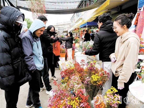 不少市民來到禮樂街道迎春花市選購年花。陳嬋